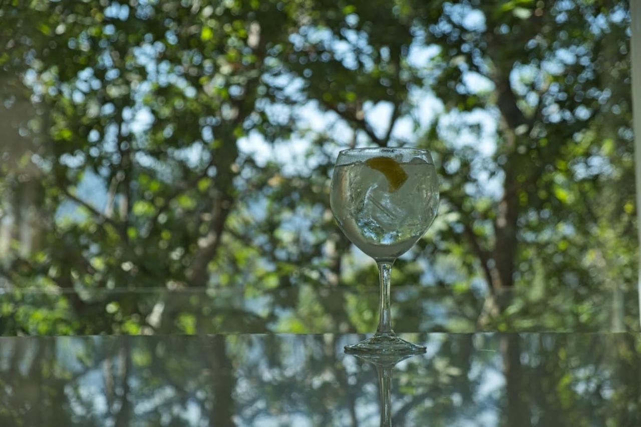 Oak Nature Vieira do Minho Dış mekan fotoğraf