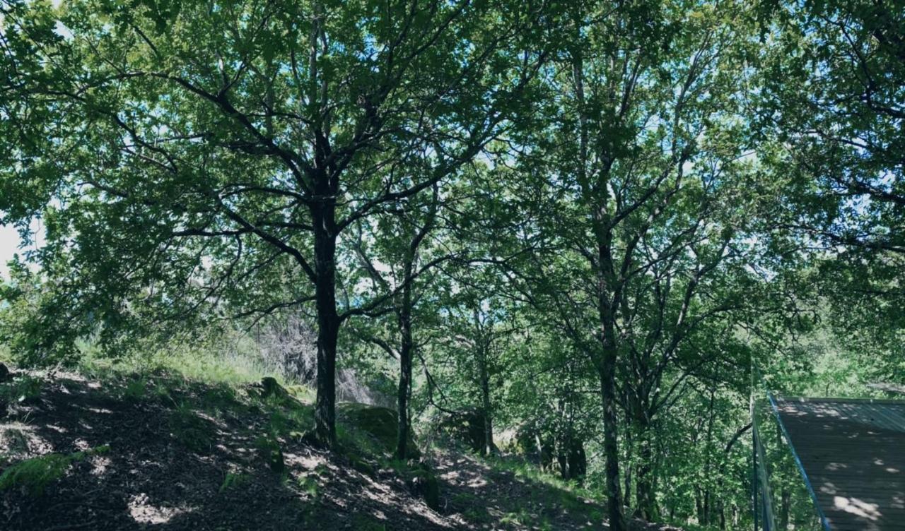 Oak Nature Vieira do Minho Dış mekan fotoğraf